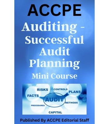 Auditing – Successful Audit Planning 2023
